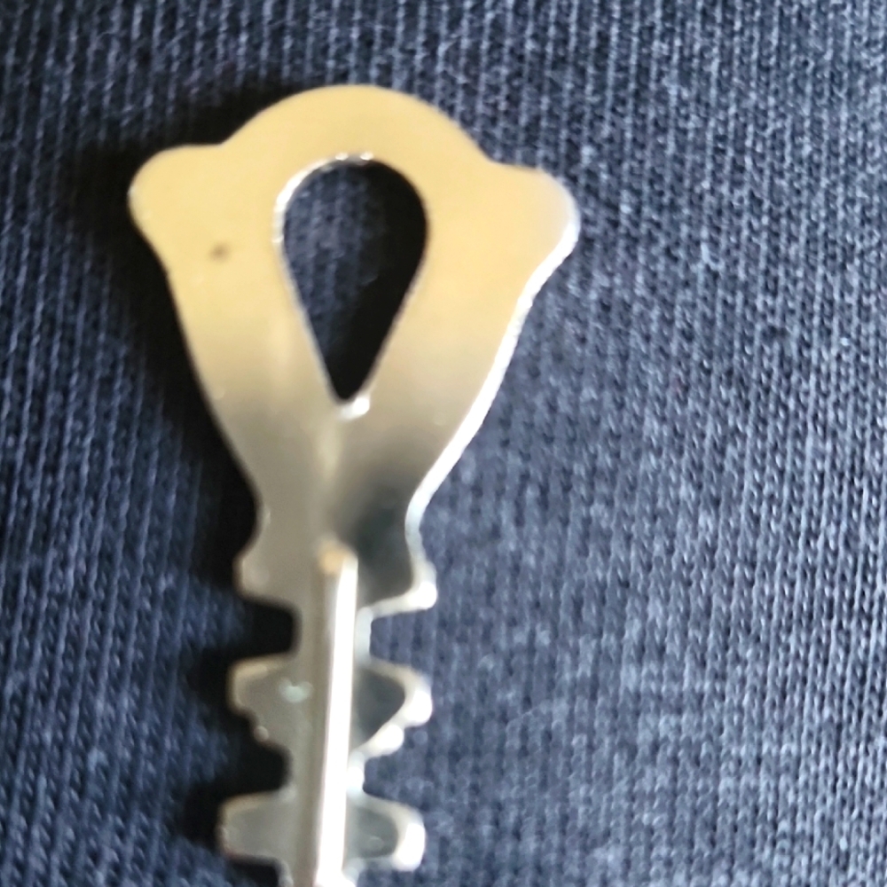 Crest NY Vintage Key